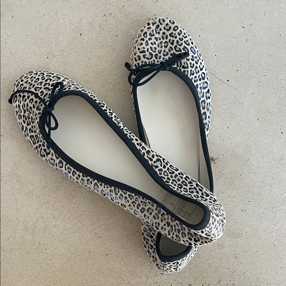 Chic Leopard Print leather  Ballet Flats